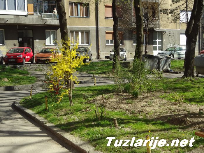 Tuzlarije