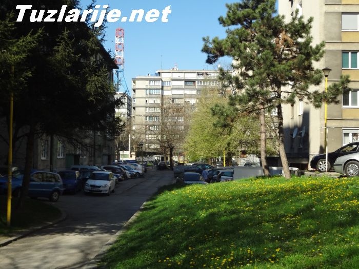 Tuzlarije