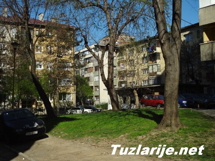 Tuzlarije