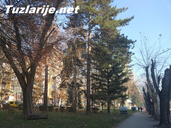 Tuzlarije