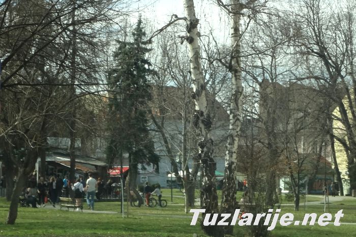 Tuzlarije