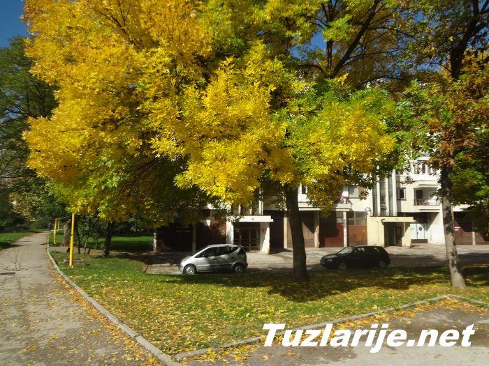 Tuzlarije
