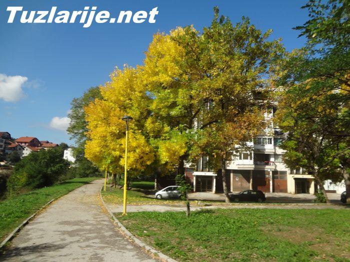 Tuzlarije