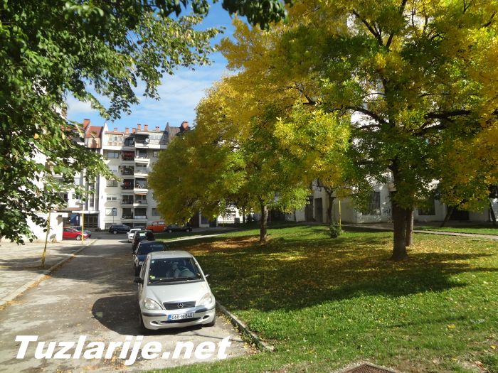 Tuzlarije