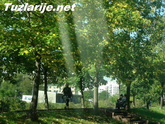 Tuzlarije
