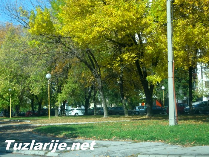 Tuzlarije