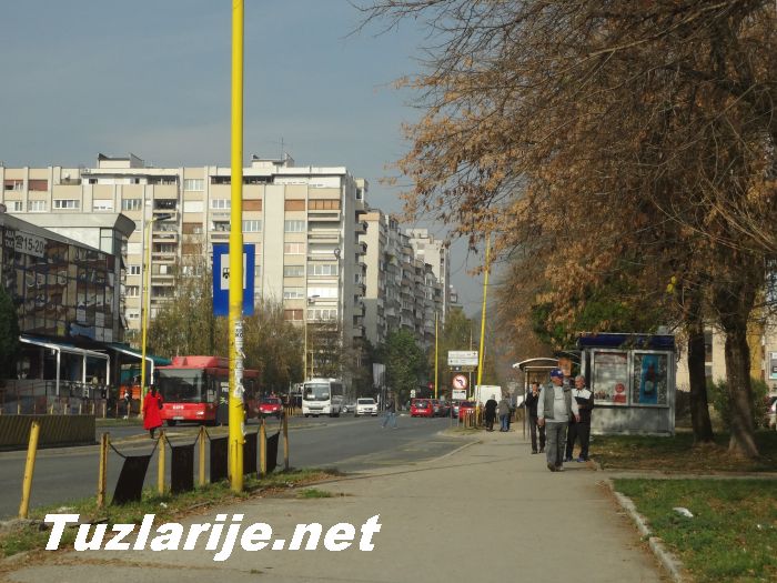 Tuzlarije