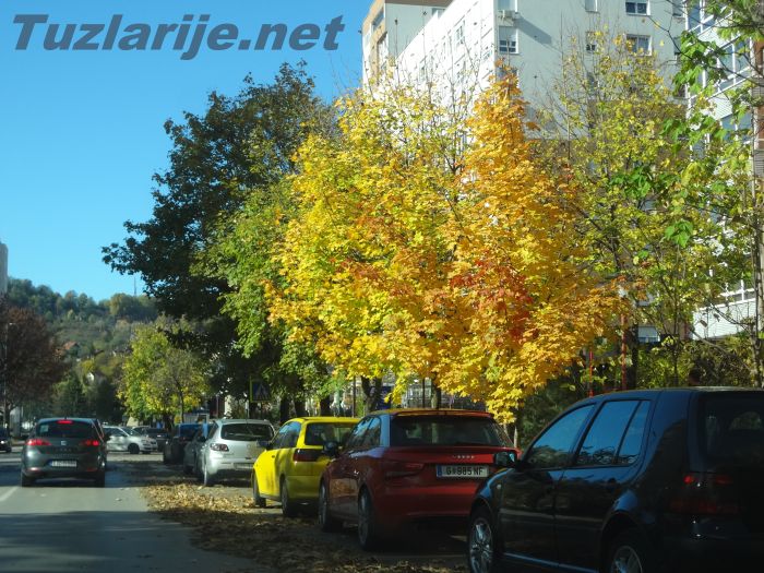 Tuzlarije