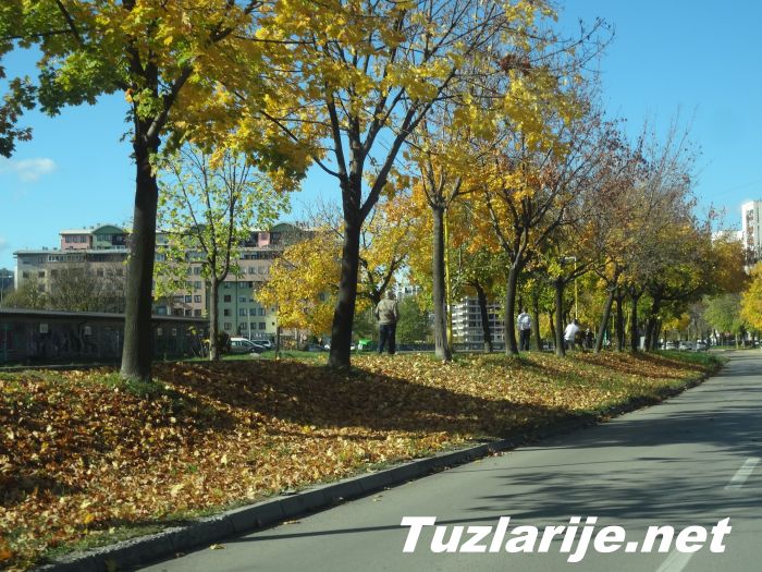 Tuzlarije