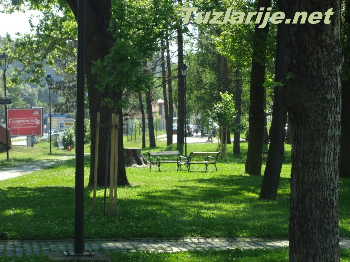 Tuzlarije