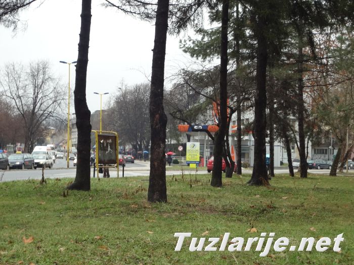 Tuzlarije