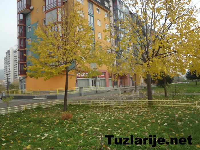 Tuzlarije