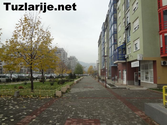 Tuzlarije