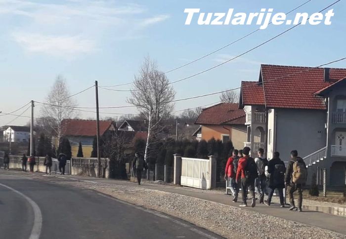Tuzlarije