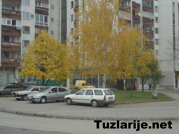Tuzlarije