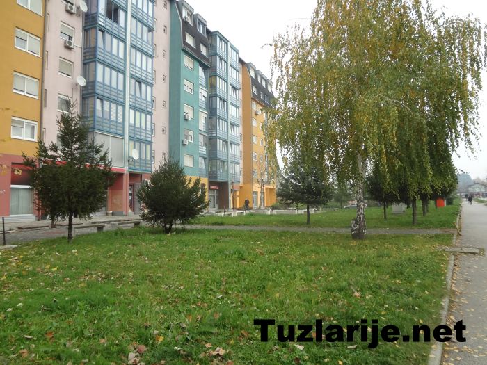 Tuzlarije