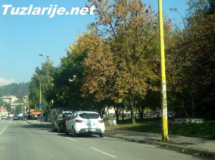 Tuzlarije