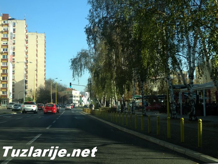 Tuzlarije