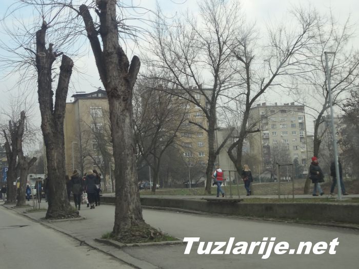 Tuzlarije