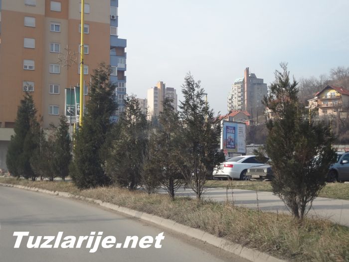 Tuzlarije