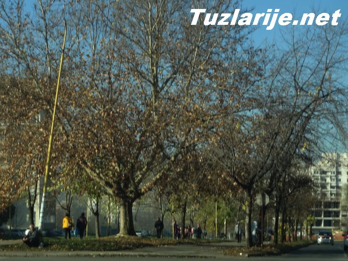Tuzlarije