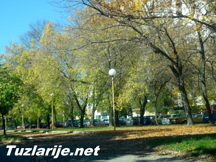 Tuzlarije