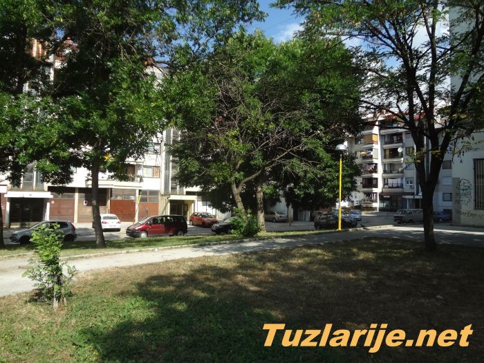 Tuzlarije