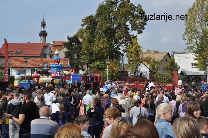 Tuzlarije