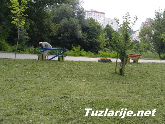Tuzlarije