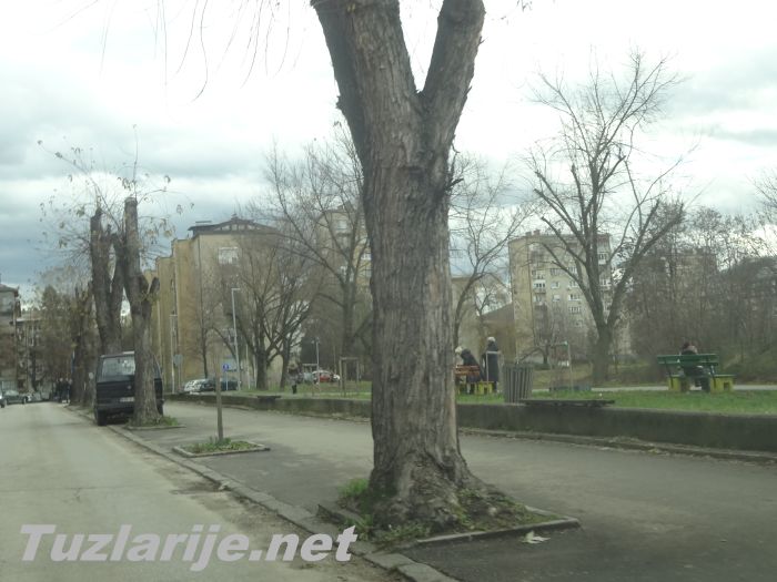Tuzlarije