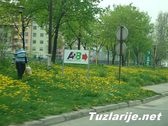Tuzlarije