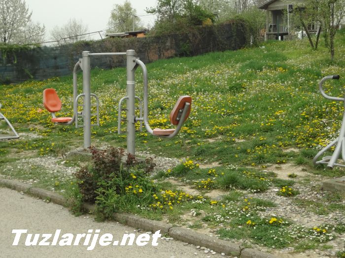 Tuzlarije