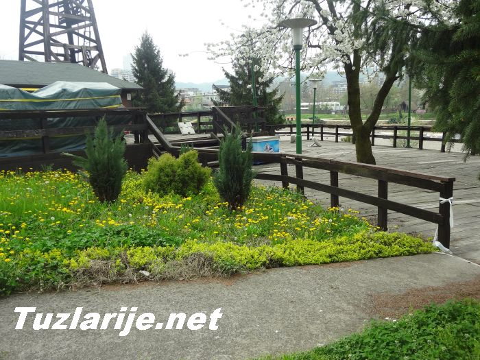 Tuzlarije