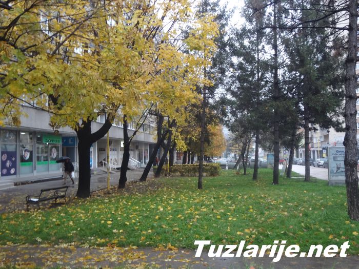 Tuzlarije