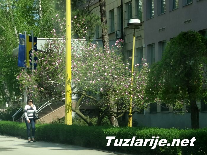 Tuzlarije