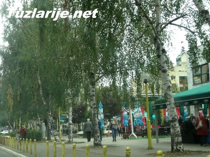 Tuzlarije