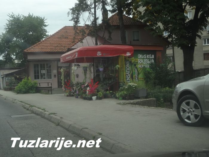 Tuzlarije