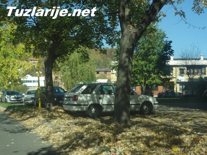 Tuzlarije
