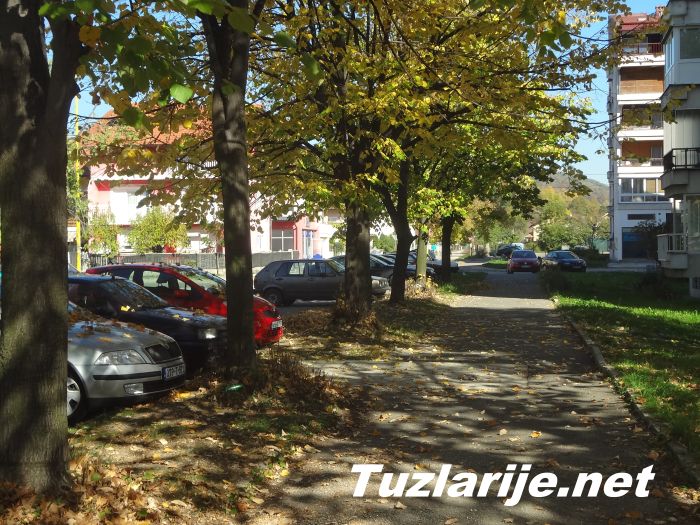 Tuzlarije