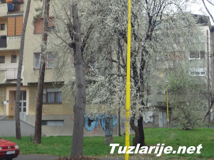 Tuzlarije
