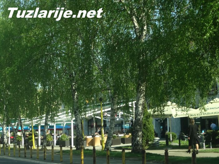 Tuzlarije