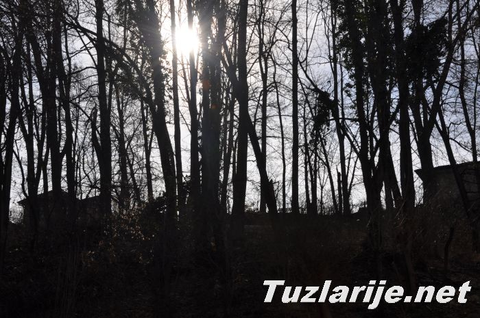 Tuzlarije