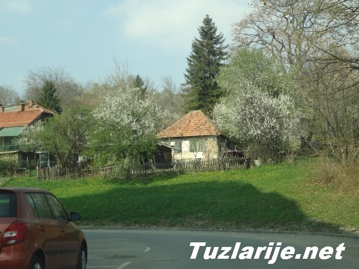 Tuzlarije