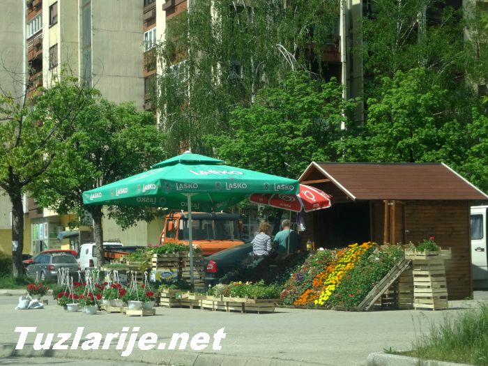 Tuzlarije