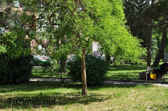 Tuzlarije