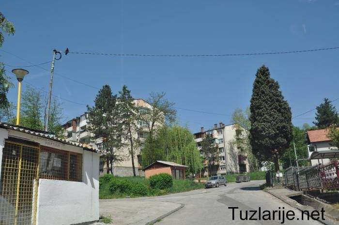 Tuzlarije