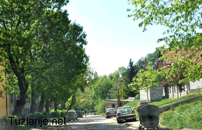Tuzlarije