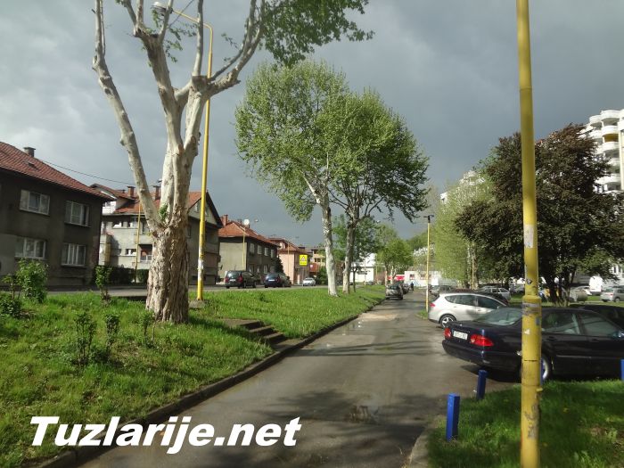 Tuzlarije