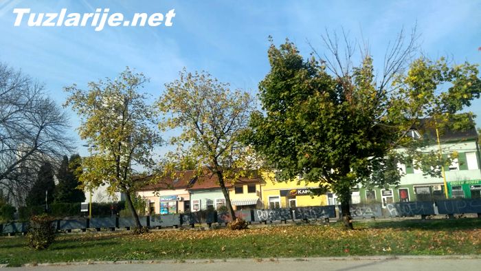 Tuzlarije