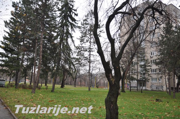 Tuzlarije